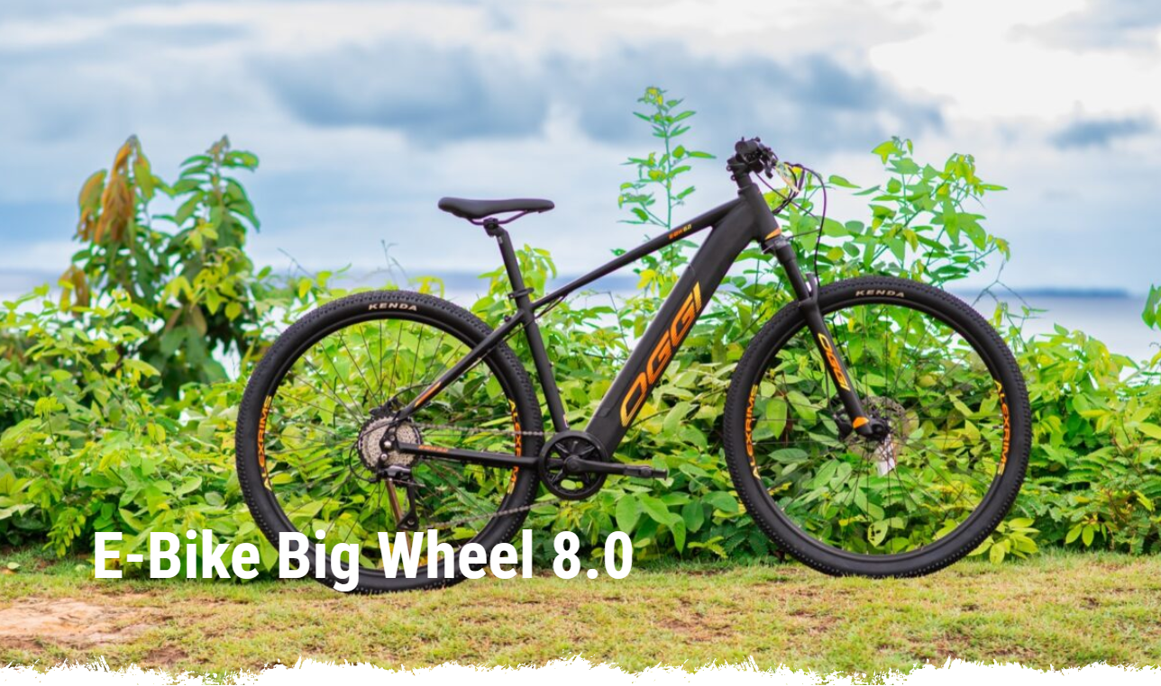 Big Wheel 8.0 Bike Elétrica
