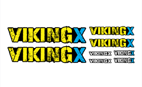 VIKINGX